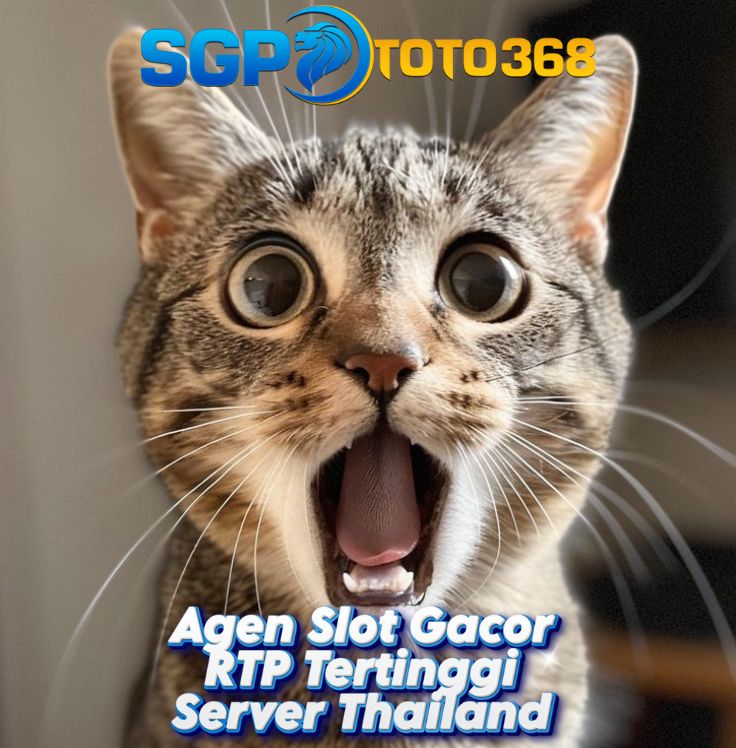 SGPTOTO368: Bar Berkelas Mewah Dengan Harga Minimalis Di Chicago Hils